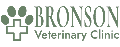 Bundaberg South Vet Clinic