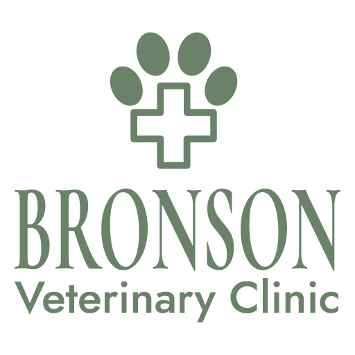 Bundaberg South Vet Clinic